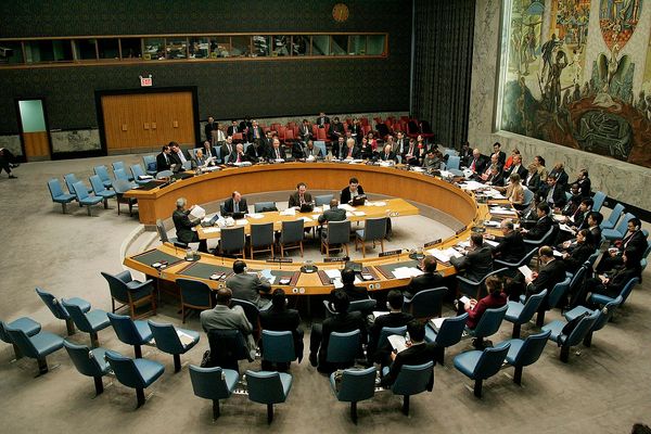 Security Council Vetoes Must be Reformed to Maintain the UN's Capacity and Legitimacy